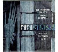 Joe T. Vannelli Project Featuring Harambee - JOE T VANNELLI / SWEETEST DAY OF MAY 1999