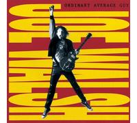Joe Walsh - Ordinary Average Guy