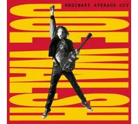 Joe Walsh - Ordinary Average Guy by Joe Walsh