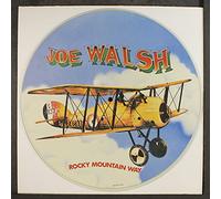 JOE WALSH - rocky mountain way / turn to stone / funk 49 12