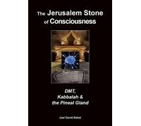 Joel David Bakst The Jerusalem Stone of Consciousness (Tascabile)