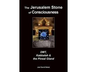 Joel David Bakst The Jerusalem Stone of Consciousness (Tascabile)