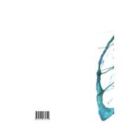 Joel Dunning Adria The Cardiac Surgery Advanced Life Support Course (Tascabile)