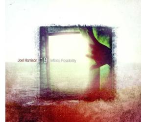 Joel Harrison 19 - Infinite Possibility