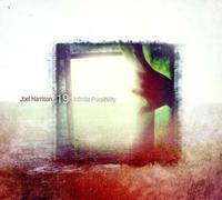 Joel Harrison Infinite Possibility (CD)