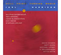 Joel Harrison Still Point: Turning World (Vinyl LP) 12" Album