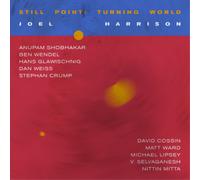 Joel Harrison Still Point: Turning World (Vinyl LP) 12" Album
