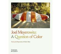Joel Meyerowitz Joel Meyerowitz: A Question of Color (Tascabile)