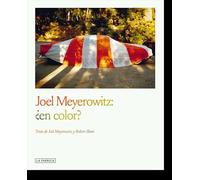 Joel Meyerowitz:¿en color?