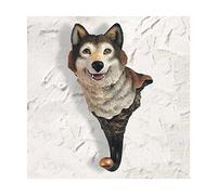 Joel Rafael - Joel Rafael: Rose Avenue (CD)