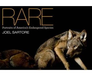 Joel Sartore National Geographic Rare (Copertina rigida)