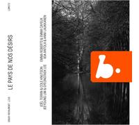 Joël Terrin Le Pays De Nos Désirs (CD) Album