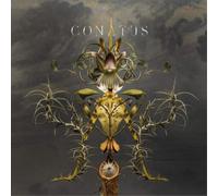 Joep Beving – Conatus – Vinile 12" (LP)