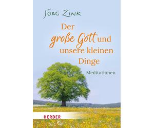 Jörg Zink Der große Gott und unsere kleinen Dinge: Meditationen (Tascabile)