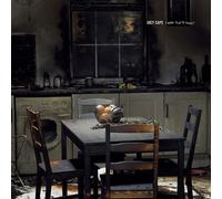 Joey Cape A Good Year to Forget (Ltd (Vinyl LP)