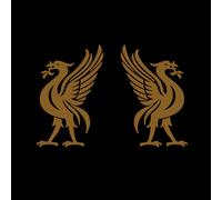 Joey Cape & Jon Snodgrass Liverbirds Album