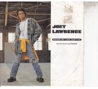 Joey Lawrence - Nothin' My Love Can't Fix - Joey Lawrence 7" 45