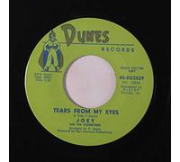 JOEY & LEXINGTONS - tears from my eyes / bobbie