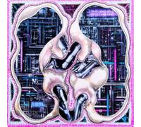 joey t & lady lady-love language 12'