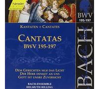 Johann Sebastian Bach Bach: Canatas, BWV195-197 (CD) Album