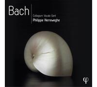 Johann Sebastian Bach Bach (CD) Box Set