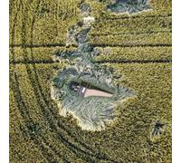 Johann Sebastian Bach Bach: Partita & Concertos (CD) Album Digipak