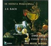 Johann Sebastian Bach - Chaconne-Tombeau/Son/Partita