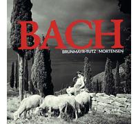 Johann Sebastian Bach: Flute Sonatas Bwv 1030, 1034 & 1035, Partita Bwv 1030 (C