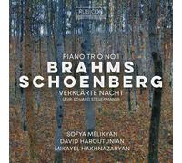 Johannes Brahms Brahms: Piano Trio No. 1/Schoenberg: Verklärte Nacht (CD) Album