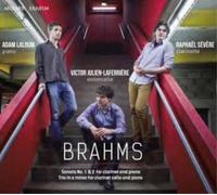 Johannes Brahms Brahms: Sonata No. 1 & 2 for Clarinet and Piano/... (CD) Album