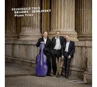 Feininger Trio – Brahms/Zemlinsky: Trii per pianoforte – CD – AVI