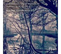 Johannes Brahms Johannes Brahms: Clarinet Sonatas Op. 120/3 Intermezzi Op. (CD)