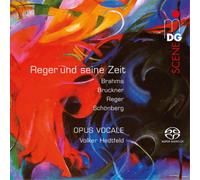 Johannes Brahms Reger Und Seine Zeit (CD)