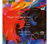 Johannes Brahms Reger Und Seine Zeit (CD)