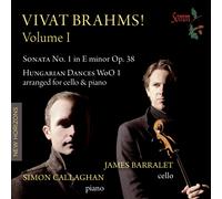 Johannes Brahms Vivat Brahms - Volume 1 (CD) Album