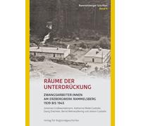 Johannes Großew Räume der Unterdrückung: Zwangsarbeiter:innen am Erz (Tascabile)