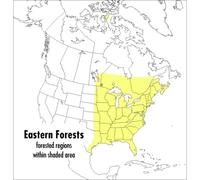 John C. Kricher Gordon Morrison Field Guide to Eastern Forests (Tascabile)