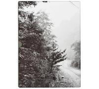 John Cage & William Gedney: Iris Garden