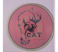 JOHN CRISPINO & C.A.T. - bad night / the kids fired up!