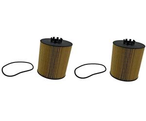 John Deere Original Equipment Filter Element 2 Pack - RE509672