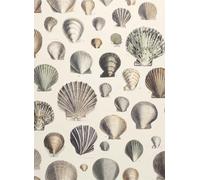 John Derian Carta da parati Captain Thomas Brown Shells - Oyster