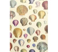 John Derian Carta da parati Captain Thomas Brown Shells - Sepia