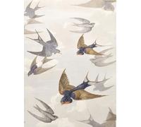John Derian Carta da parati Chimney Swallows - Down