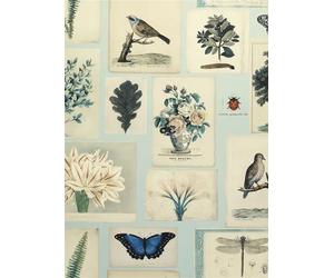 John Derian Carta da parati Flora and Fauna - Cloud Blue
