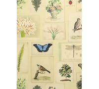 John Derian Carta da parati Flora and Fauna - Parchment