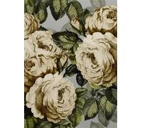 John Derian Carta da parati The Rose - Steel