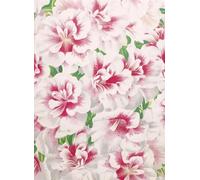 John Derian Carta da parati Variegated Azalea - Azalea