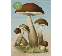 John Derian Paper Goods Mushrooms 1,000-piece Puzzle