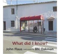 John Flaus - What Did I Know?