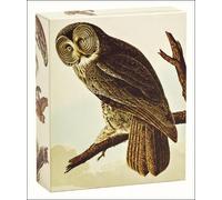 John James Audubon Audubon Owls QuickNotes (Cards) QuickNotes